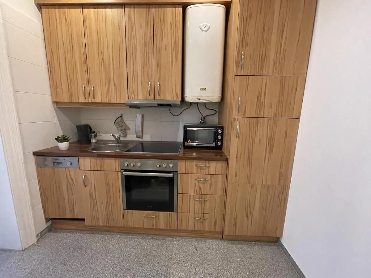 Central Sunny Flat With Free Parking Διαμέρισμα Βιέννη